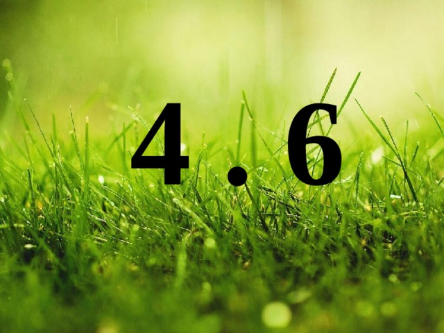 4 . 6 