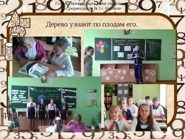 Государственное учреждение образования  «Средняя школа № 3 г. Наровли»   Дерево узнают по плодам его. 