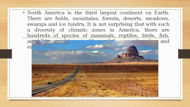 North America is the third largest continent on Earth. There are fields, mountains, forests, deserts, meadows, swamps and ice tundra. It is not surprising that with such a diversity of climatic zones in America, there are hundreds of species of mammals, reptiles, birds, fish, amphibians and insects. Many of them are harmless and even useful for humans. But not all. 