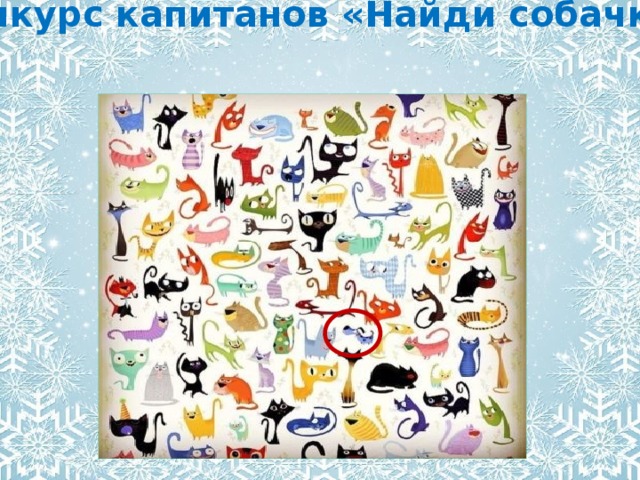 Конкурс капитанов «Найди собачку» 