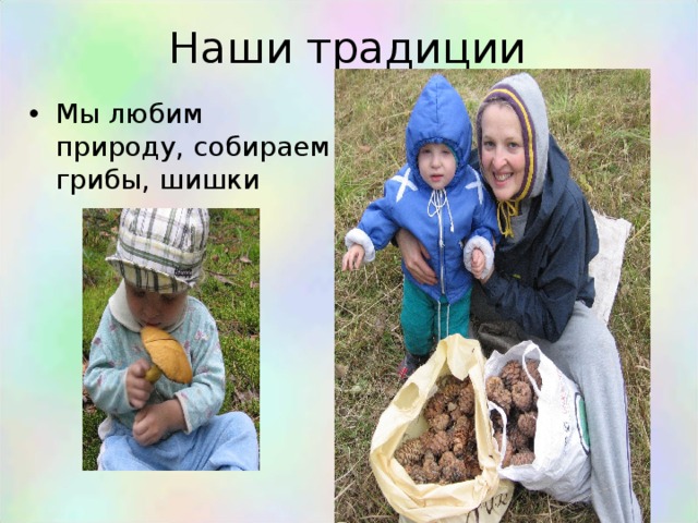 Наши традиции Мы любим природу, собираем грибы, шишки  собираем шишки 