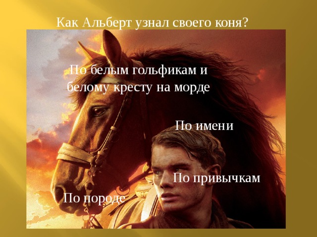 Как Альберт узнал своего коня? По белым гольфикам и белому кресту на морде По имени По привычкам По породе 