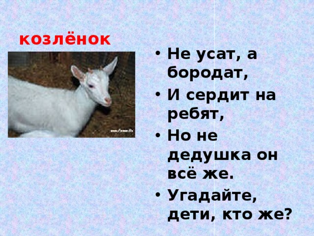 козлёнок Не усат, а бородат, И сердит на ребят, Но не дедушка он всё же. Угадайте, дети, кто же? 