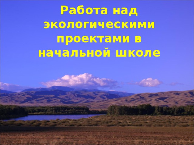 Работа над экологическими проектами в начальной школе 