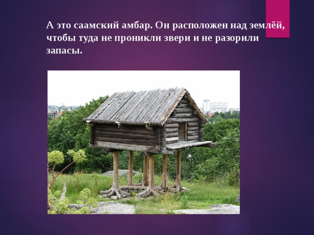 А это саамский амбар. Он расположен над землёй, чтобы туда не проникли звери и не разорили запасы. 