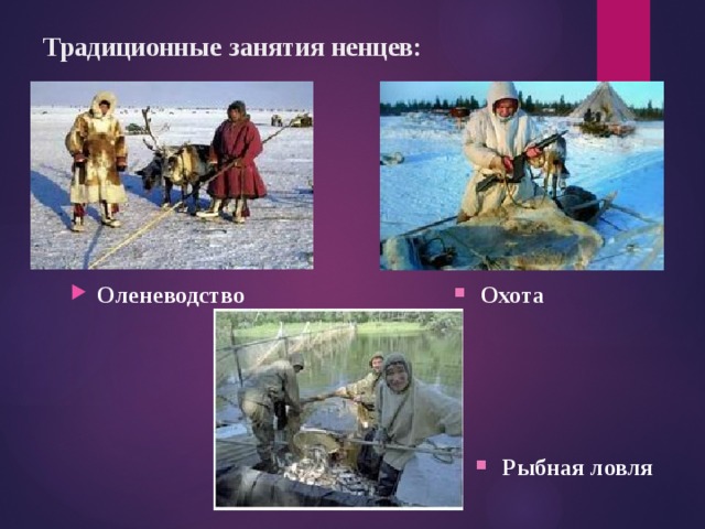 Традиционные  занятия ненцев: Охота Оленеводство Рыбная ловля 