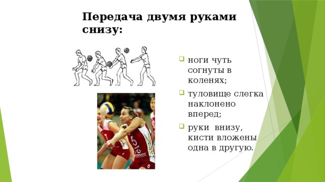 Передача двумя руками снизу:  ноги чуть согнуты в коленях; туловище слегка наклонено вперед; руки внизу, кисти вложены одна в другую. 