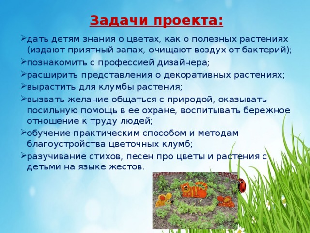 Задачи проекта: дать детям знания о цветах, как о полезных растениях (издают приятный запах, очищают воздух от бактерий); познакомить с профессией дизайнера; расширить представления о декоративных растениях; вырастить для клумбы растения; вызвать желание общаться с природой, оказывать посильную помощь в ее охране, воспитывать бережное отношение к труду людей; обучение практическим способом и методам благоустройства цветочных клумб; разучивание стихов, песен про цветы и растения с детьми на языке жестов. 