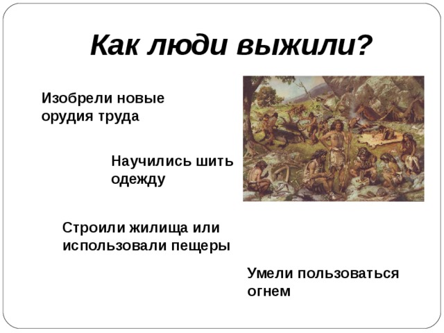 Как люди выжили? Изобрели новые орудия труда Научились шить одежду Строили жилища или использовали пещеры Умели пользоваться огнем 