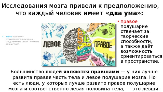 Исследования мозга привели к предположению, что каждый человек имеет «два ума»: правое полушарие отвечает за творческие способности, а также даёт возможность ориентироваться в пространстве. левое позволяет устанавливать причинно-следственные связи, понимать речь и текст Большинство людей являются правшами  — у них лучше развита правая часть тела и левое полушарие мозга. Но есть люди, у которых лучше развито правое полушарие мозга и соответственно левая половина тела, — это левши. 