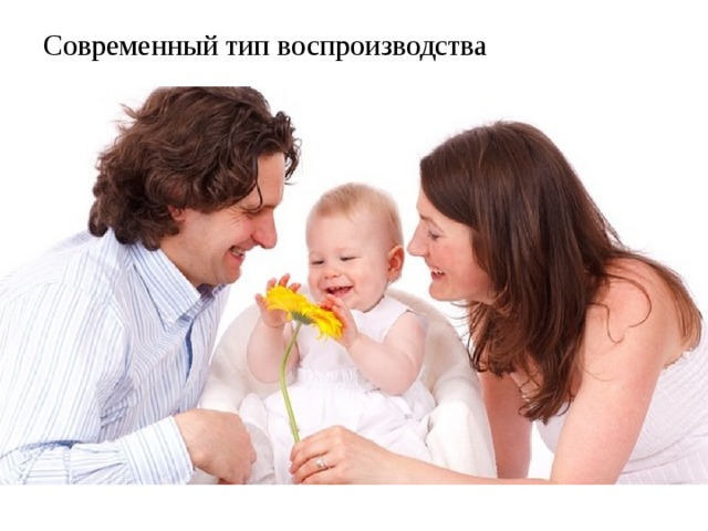 Современный тип воспроизводства низкая рождаемость, низкая смертность, низкий естественный прирост. Низкая рождаемость связана с ростом уровня и большой продолжительностью образования (10–15 лет), более поздним вступлением в брак, активной трудовой деятельностью женщин, планированием детей в семье, достижениями медицины. Семья становится малодетной (1–2 ребёнка), но все дети доживают до брачного возраста. В результате сменяющие друг друга поколения примерно равны по численности. 