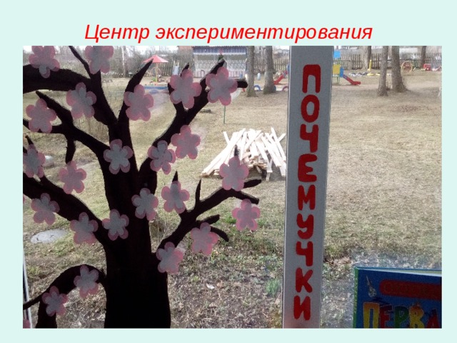 Центр экспериментирования 