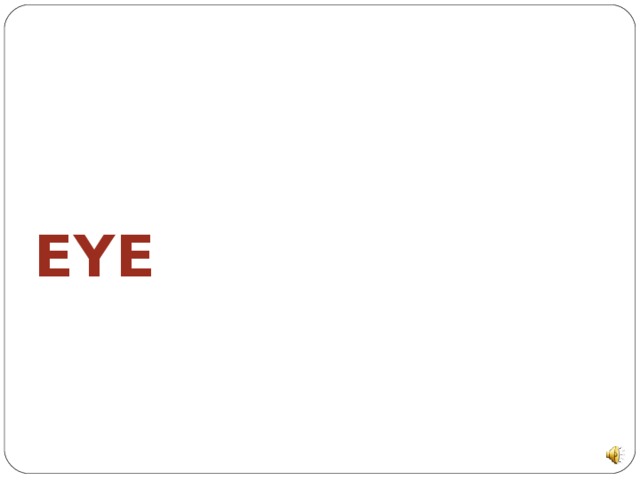 EYE 
