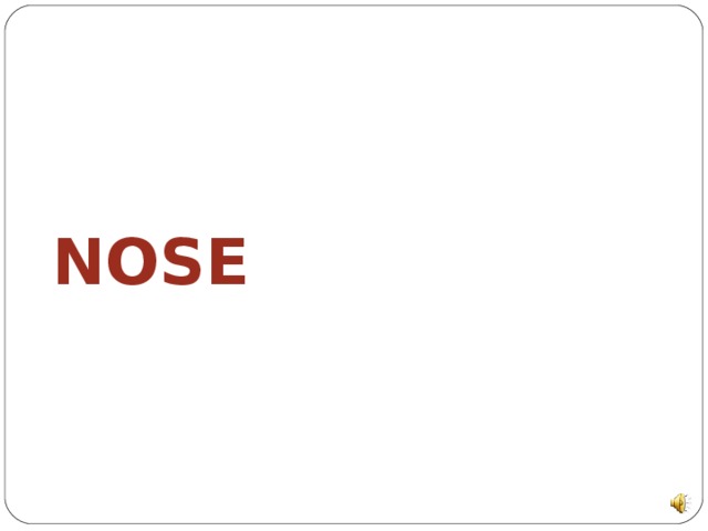 NOSE 