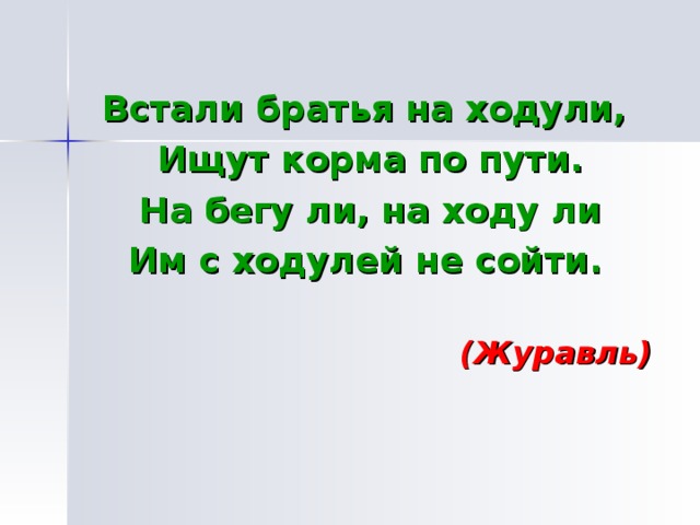 Встали братья на ходули, Ищут корма по пути. На бегу ли, на ходу ли Им с ходулей не сойти. (Журавль) 