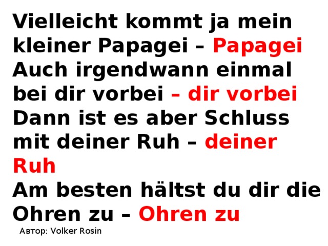 Vielleicht kommt ja mein kleiner Papagei – Papagei  Auch irgendwann einmal bei dir vorbei – dir vorbei  Dann ist es aber Schluss mit deiner Ruh – deiner Ruh  Am besten hältst du dir die Ohren zu – Ohren zu Автор: Volker Rosin 