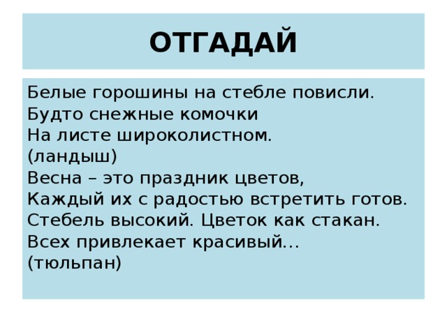 ОТГАДАЙ Белые горошины на стебле повисли.  Будто снежные комочки  На листе широколистном.  (ландыш)  Весна – это праздник цветов,  Каждый их с радостью встретить готов.  Стебель высокий. Цветок как стакан.  Всех привлекает красивый…  (тюльпан)   