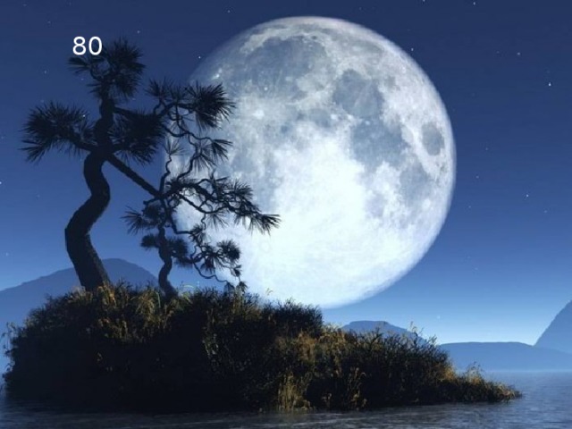  80 