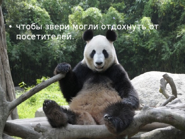 чтобы звери могли отдохнуть от посетителей. 