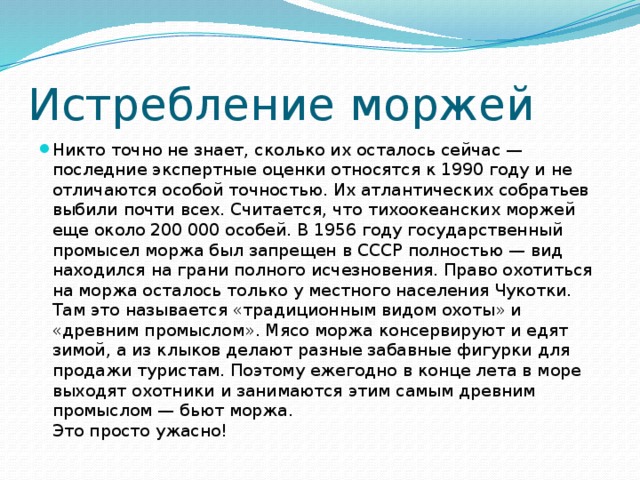 Истребление моржей Никто точно не знает, сколько их осталось сейчас — последние экспертные оценки относятся к 1990 году и не отличаются особой точностью. Их атлантических собратьев выбили почти всех. Считается, что тихоокеанских моржей еще около 200 000 особей. В 1956 году государственный промысел моржа был запрещен в СССР полностью — вид находился на грани полного исчезновения. Право охотиться на моржа осталось только у местного населения Чукотки. Там это называется «традиционным видом охоты» и «древним промыслом». Мясо моржа консервируют и едят зимой, а из клыков делают разные забавные фигурки для продажи туристам. Поэтому ежегодно в конце лета в море выходят охотники и занимаются этим самым древним промыслом — бьют моржа.  Это просто ужасно! 