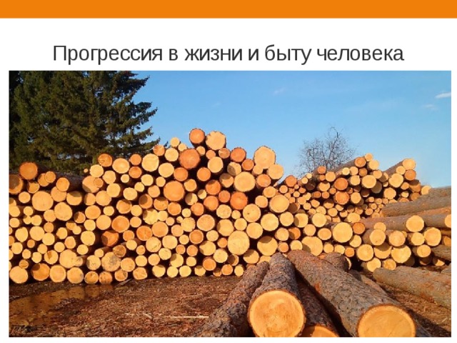 Прогрессия в жизни и быту человека 