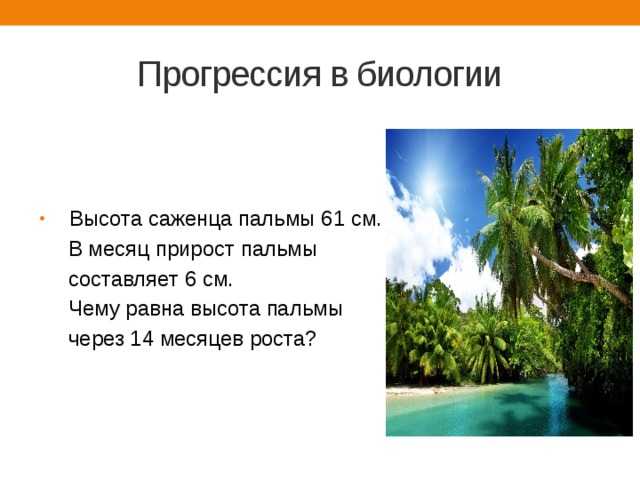 Прогрессия в биологии  Высота саженца пальмы 61 см.  В месяц прирост пальмы  составляет 6 см.  Чему равна высота пальмы  через 14 месяцев роста? 