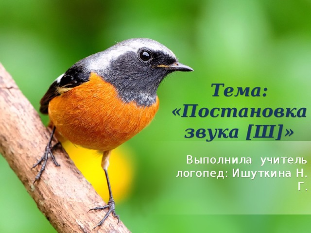 Тема: «Постановка звука [Ш]» Выполнила учитель логопед: Ишуткина Н. Г. 