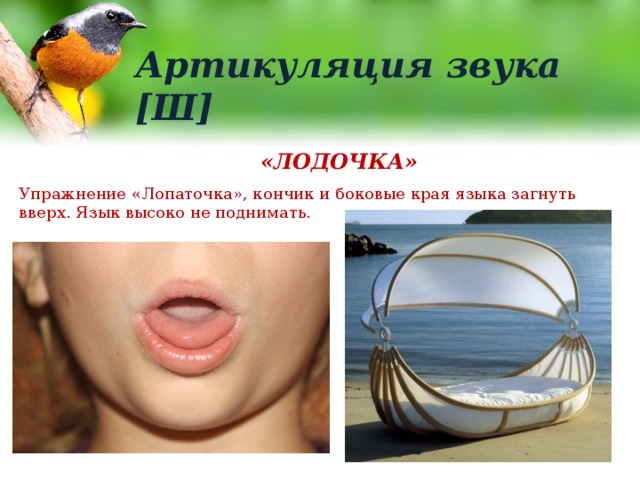 Артикуляция звука [Ш] «ЛОДОЧКА» Упражнение «Лопаточка», кончик и боковые края языка загнуть вверх. Язык высоко не поднимать. 