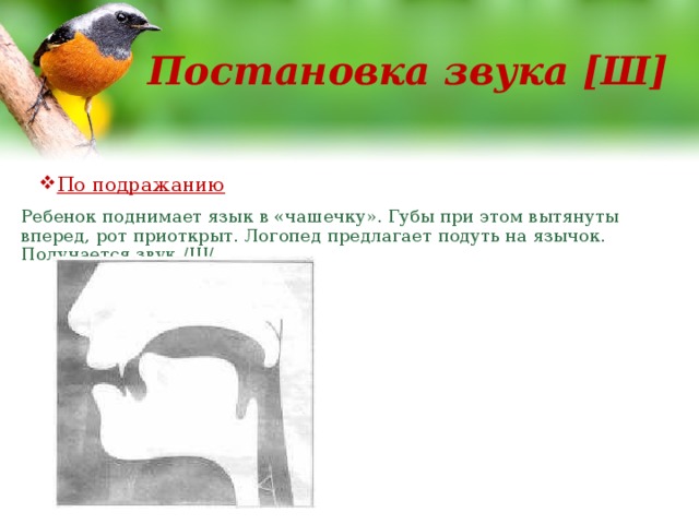 Постановка звука [Ш] По подражанию Ребенок поднимает язык в «чашечку». Губы при этом вытянуты вперед, рот приоткрыт. Логопед предлагает подуть на язычок. Получается звук /Ш/. 