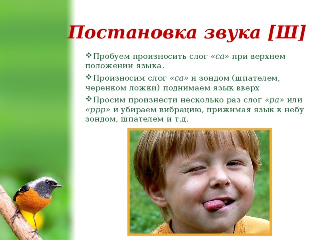 Постановка звука [Ш] Пробуем произносить слог «са» при верхнем положении языка. Произносим слог «са» и зондом (шпателем, черенком ложки) поднимаем язык вверх Просим произнести несколько раз слог «ра» или «ррр» и убираем вибрацию, прижимая язык к небу зондом, шпателем и т.д. 
