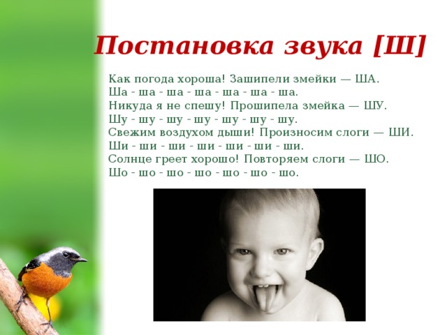 Постановка звука [Ш] Как погода хороша! Зашипели змейки — ША.  Ша - ша - ша - ша - ша - ша - ша.  Никуда я не спешу! Прошипела змейка — ШУ.  Шу - шу - шу - шу - шу - шу - шу.  Свежим воздухом дыши! Произносим слоги — ШИ.  Ши - ши - ши - ши - ши - ши - ши.  Солнце греет хорошо! Повторяем слоги — ШО.  Шо - шо - шо - шо - шо - шо - шо.   