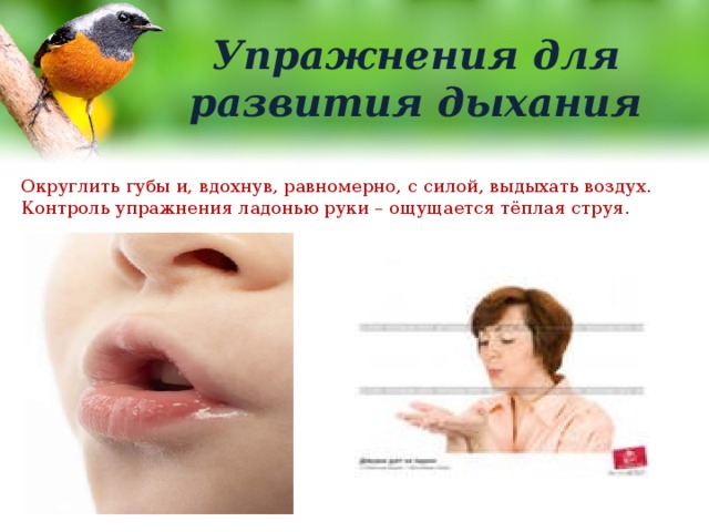 Упражнения для развития дыхания Округлить губы и, вдохнув, равномерно, с силой, выдыхать воздух. Контроль упражнения ладонью руки – ощущается тёплая струя. 