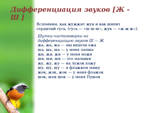 Дифференциация звуков [Ж - Ш ] Вспомним, как жужжит жук и как шипит сердитый гусь, (гусь — «ш-ш-ш», жук — «ж-ж-ж»). Шутки-чистоговорки на дифференциацию звуков Ш — Ж жа, жа, жа — мы видели ежа ша, ша, ша — у меня лапша жи, жи, жи — у меня ножи ши, ши, ши — это малыши жу, жу, жу — на лужок хожу шу, шу, шу — я флажком машу жок, жок, жок — у меня флажок шок, шок шок — у меня Пушок 