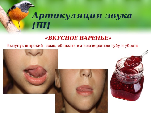 Артикуляция звука [Ш] «ВКУСНОЕ ВАРЕНЬЕ» Высунув широкий язык, облизать им всю верхнюю губу и убрать вглубь рта. 