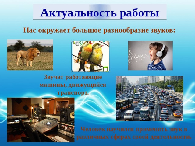 Актуальность работы Нас окружает большое разнообразие звуков: Звучат работающие машины, движущийся транспорт. Человек научился применять звук в различных сферах своей деятельности.