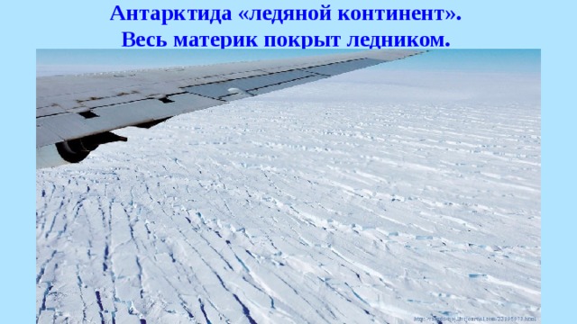Антарктида «ледяной континент». Весь материк покрыт ледником. 