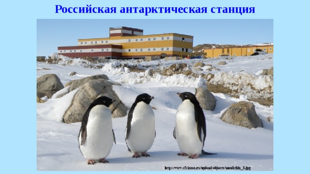 Российская антарктическая станция 