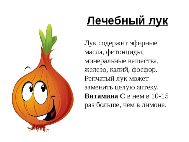  Лечебный лук Лук содержит эфирные масла, фитонциды, минеральные вещества, железо, калий, фосфор. Репчатый лук может заменить целую аптеку. Витамина С в нем в 10-15 раз больше, чем в лимоне. 6 