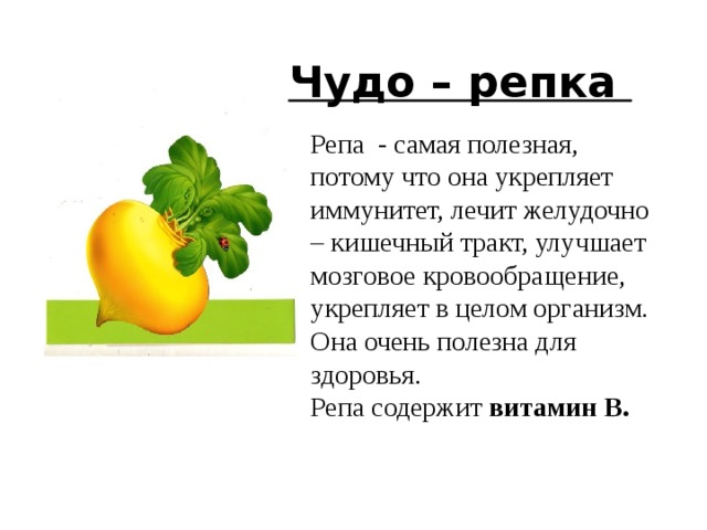  Чудо – репка Репа - самая полезная, потому что она укрепляет иммунитет, лечит желудочно – кишечный тракт, улучшает мозговое кровообращение, укрепляет в целом организм. Она очень полезна для здоровья. Репа содержит витамин В. 6 