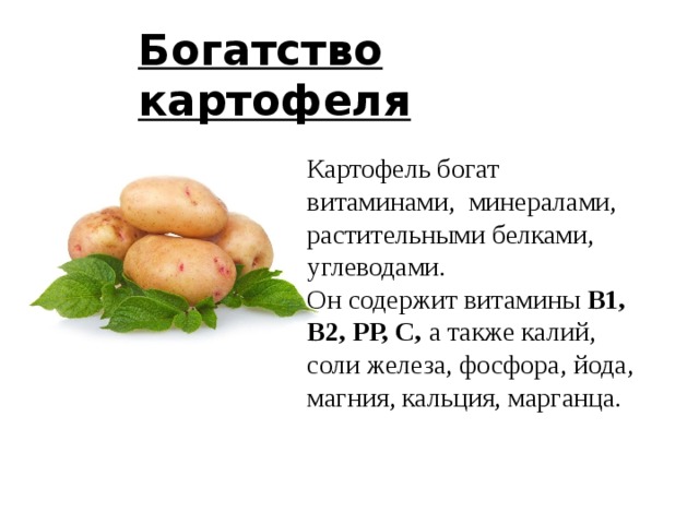 Богатство картофеля Картофель богат витаминами, минералами, растительными белками, углеводами. Он содержит витамины В1, В2, РР, С, а также калий, соли железа, фосфора, йода, магния, кальция, марганца. 6 