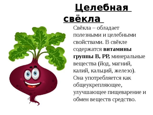  Целебная свёкла Свёкла – обладает полезными и целебными свойствами. В свёкле содержатся витамины группы В, РР, минеральные вещества (йод, магний, калий, кальций, железо). Она употребляется как общеукрепляющее, улучшающее пищеварение и обмен веществ средство. 6 