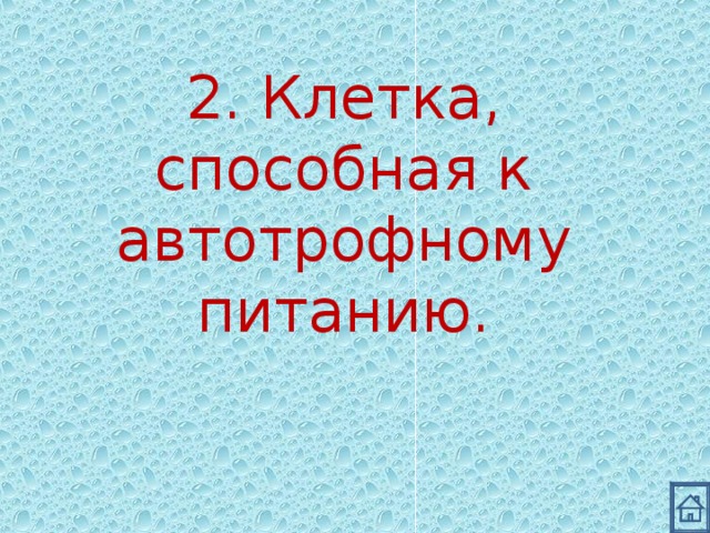 2. Клетка, способная к автотрофному питанию. 