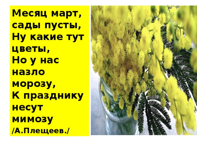Месяц март, сады пусты,  Ну какие тут цветы,  Но у нас назло морозу,  К празднику несут мимозу /А.Плещеев./ 