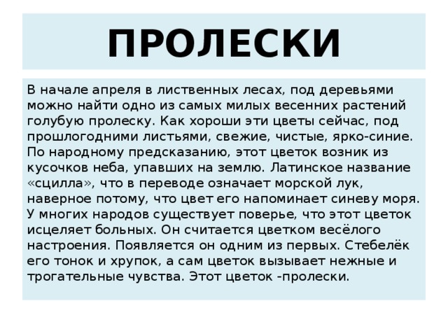 ПРОЛЕСКИ В начале апреля в лиственных лесах, под деревьями можно найти одно из самых милых весенних растений голубую пролеску. Как хороши эти цветы сейчас, под прошлогодними листьями, свежие, чистые, ярко-синие. По народному предсказанию, этот цветок возник из кусочков неба, упавших на землю. Латинское название «сцилла», что в переводе означает морской лук, наверное потому, что цвет его напоминает синеву моря. У многих народов существует поверье, что этот цветок исцеляет больных. Он считается цветком весёлого настроения. Появляется он одним из первых. Стебелёк его тонок и хрупок, а сам цветок вызывает нежные и трогательные чувства. Этот цветок -пролески. 