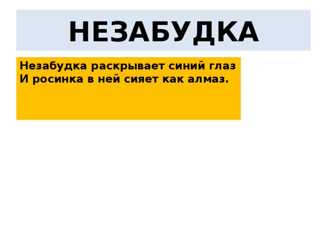 НЕЗАБУДКА Незабудка раскрывает синий глаз  И росинка в ней сияет как алмаз.   