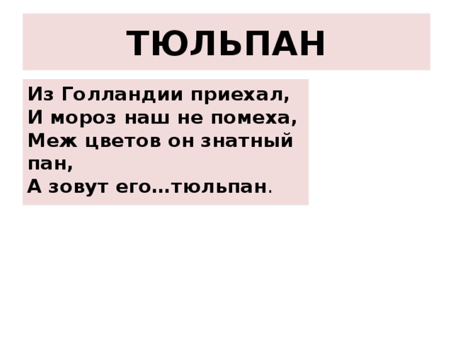 ТЮЛЬПАН Из Голландии приехал,  И мороз наш не помеха,  Меж цветов он знатный пан,  А зовут его…тюльпан . 