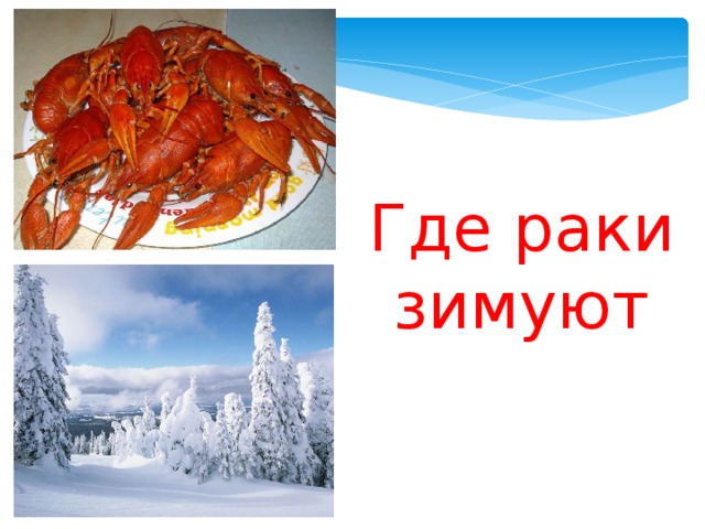 Где раки зимуют 