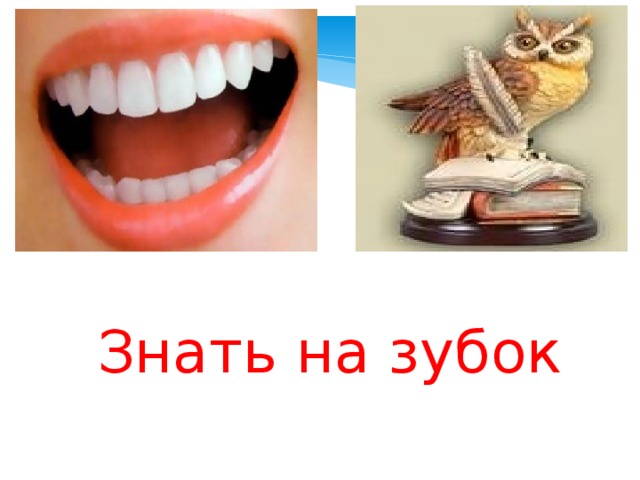 Знать на зубок 