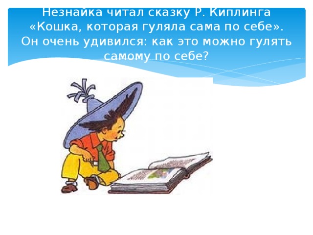 Незнайка читал сказку Р. Киплинга «Кошка, которая гуляла сама по себе». Он очень удивился: как это можно гулять самому по себе? 