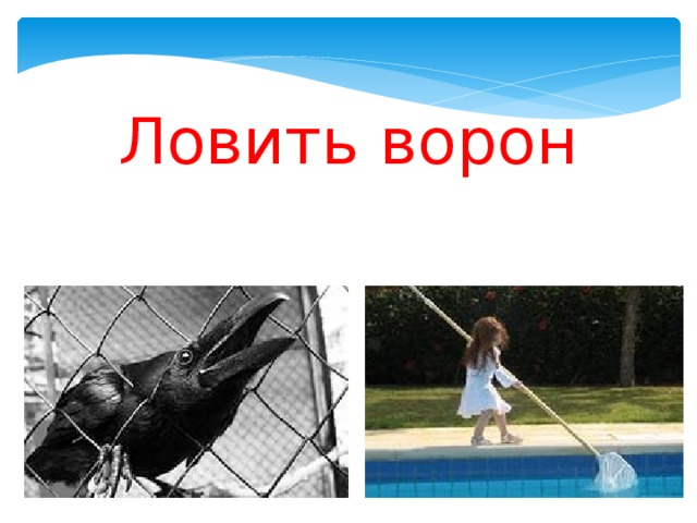 Ловить ворон 